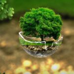 Sostenibilità, corsa per salvare il Pianeta Sostenibilità