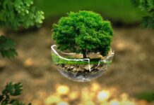 Sostenibilità, corsa per salvare il Pianeta Sostenibilità