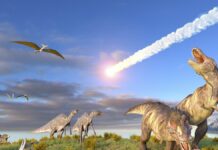 Dalle stelle cadenti agli asteroidi killer dei dinosauri Asteroidi