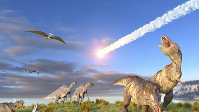 Asteroidi Asteroidi