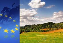 Il Parlamento europeo per il ripristino degli ecosistemi Ecosistemi