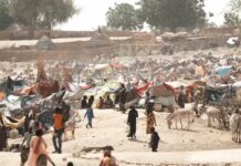 Sudan, è allarme per bambini malnutriti Sudan