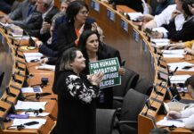 Nuovo patto su migrazione e asilo: via libera del Pe migrazione e asilo