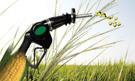 Lo sviluppo dei biocarburanti e gli effetti sulle carenze alimentari Biocarburanti
