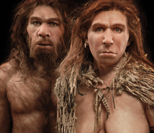 La nascita dell’idea di famiglia nei sapiens Sapiens