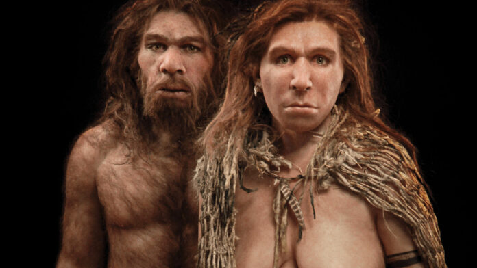 Sapiens Sapiens