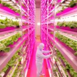 Agricoltura verticale e coltivazioni extraterrestri