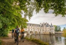 La Francia e il suo anno d’oro Francia