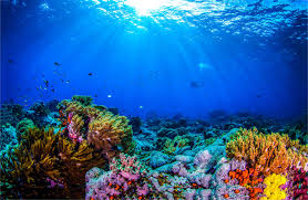 Biodiversità