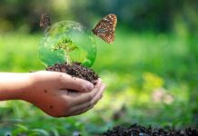 Biodiversità: il nostro capitale naturale Biodiversità