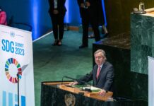 Lo stato degli obiettivi sullo sviluppo sostenibile Onu