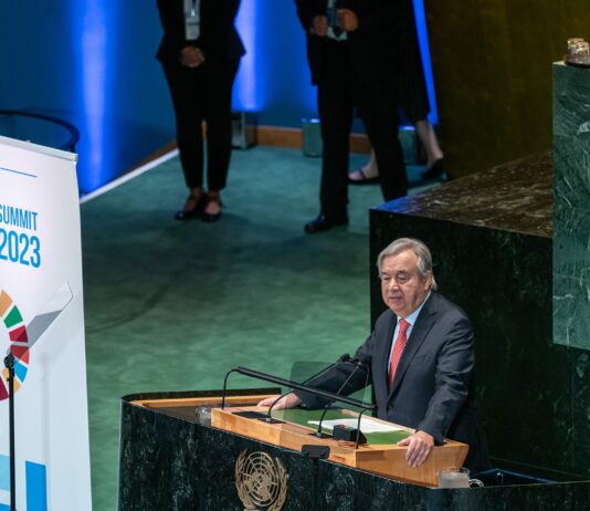 Lo stato degli obiettivi sullo sviluppo sostenibile Onu