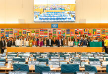 WFO alla Fao per la sfida mondiale dei sistemi alimentari Sistemi alimentari