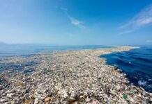 Gli oceani si salvano anche con l’arte Oceani