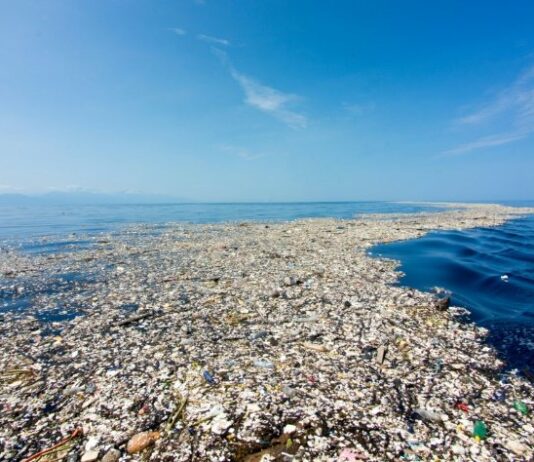 Gli oceani si salvano anche con l’arte Oceani