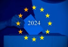 Elezioni europee, i risultati che non ti aspetti Elezioni europee