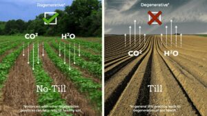Agricoltura rigenerativa