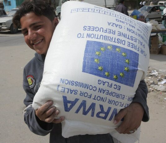 Commissione Ue, 400 milioni all’Anp contro crisi economica Anp
