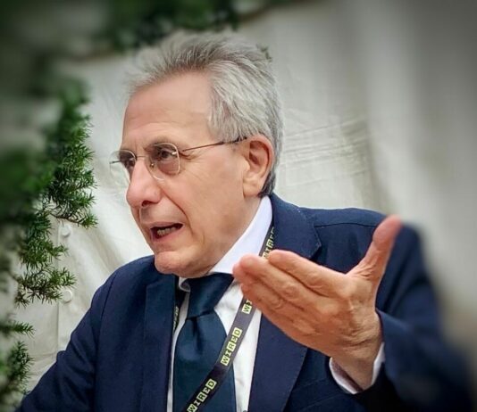 Resilienza e rafforzamento della democrazia in Italia attraverso l’istruzione Democrazia