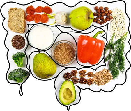 Sviluppato il più grande database di genomi microbici da alimenti alimenti