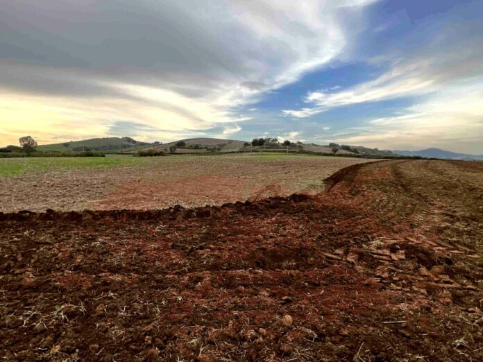 Agricoltura Agricoltura