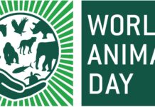 World Animal Day, la Giornata mondiale degli animali animali