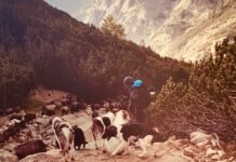 “Anima” di Kapka Kassabova: pecore e pastori karakachan in Bulgaria cover_anima