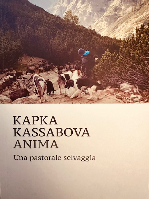 cover_anima cover_anima