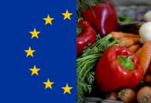 FutureFoodS la risposta dell’Europa ai problemi dell’alimentazione alimentare
