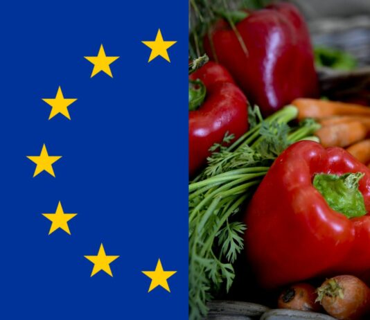 FutureFoodS la risposta dell’Europa ai problemi dell’alimentazione alimentare