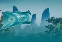 Cop29, delusione, amarezza e tanto lavoro Cop29