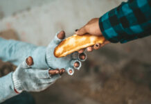 I giovani per combattere la fame nel Mondo al WFF Giovani