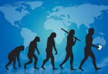 Nuove malattie causate dal disadattamento uomo-ambiente Corpo