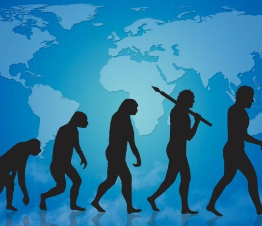 Nuove malattie causate dal disadattamento uomo-ambiente Corpo