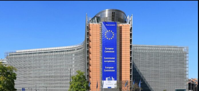 Stato di diritto - Commissione europea Stato di diritto