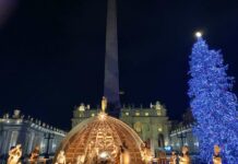 Cronache vaticane Papa