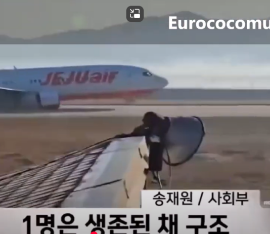 Lo schianto dell’aereo in Corea del Sud, sopravvissuti solo in 2 Corea del Sud