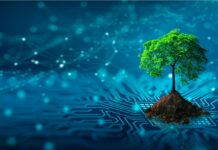 Nuove tecnologie ispirate dalla natura Natura anni