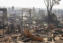 Incendi Los Angeles: la situazione dopo due settimane incendi