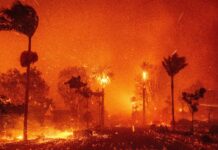 Incendi a Los Angeles, i venti calano ma resta allerta rossa Incendi a Los Angeles