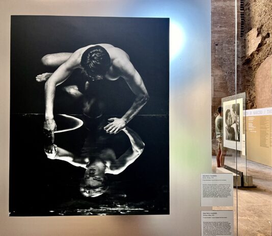 Mostra “Nello specchio di Narciso” Narciso