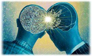 Neurosociologia