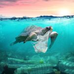 European Business Summit 2024, l’Ue guarda alle sfide di lungo periodo