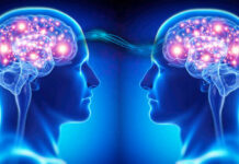 Neurosociologia: scienza che rivela il legame tra mente e relazioni Neurosociologia