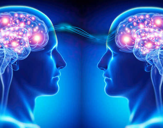Neurosociologia: scienza che rivela il legame tra mente e relazioni Neurosociologia