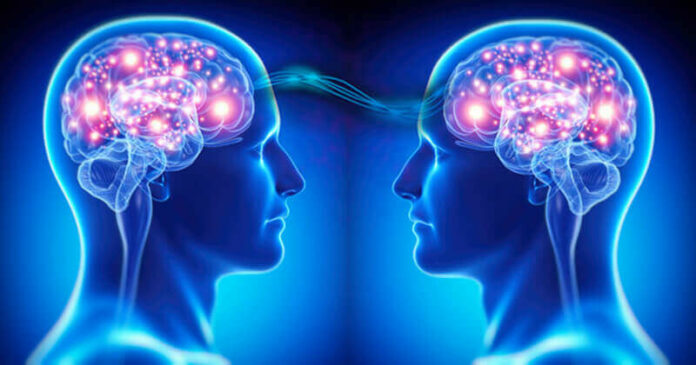 Neurosociologia - Lupmed Portal Neurosociologia