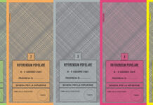 Referendum, quali e di che colore sono le schede Referendum