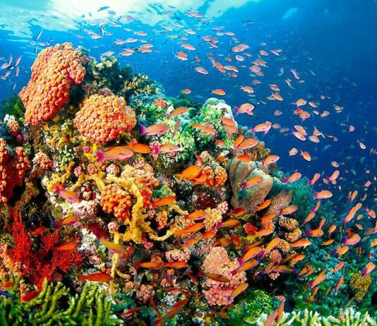 Oceani, l’Ue stanzia un miliardo di euro Oceani