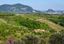 Turismo e Sostenibilità tra i Colli Euganei Colli Euganei