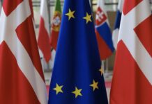 Presidenza Ue, la Danimarca ha le idee chiare Danimarca